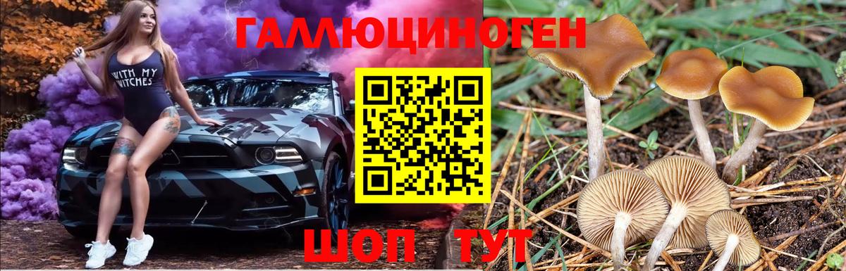 Псилоцибиновые грибы Magic Shrooms Звенигород