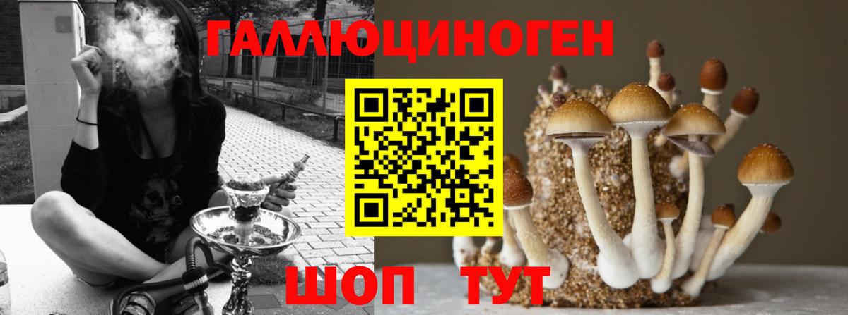 ГАШИШ  Меф  Кокаин  Вход с VPN  A PVP СОЛЬ   Звенигород  Продажа наркотиков  Конопля  МЕФ кристаллы 